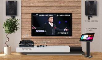 這個家庭卡拉ok系統(tǒng),能讓你的客廳變成影音室哦