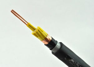 電力電纜在電力設(shè)備與電氣裝備電線電纜中的廣泛應(yīng)用揭秘